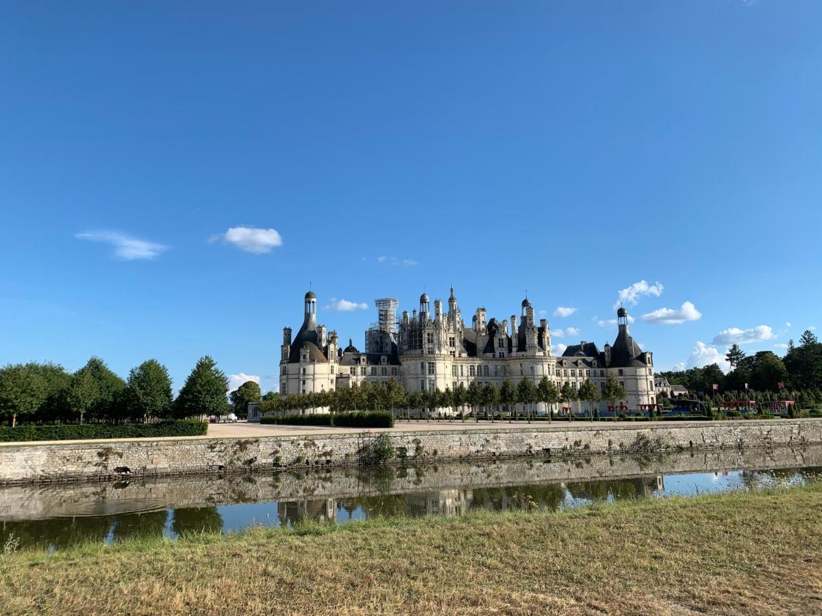 Au Coeur Des Chateaux Chambon-sur-Cisse 외부 사진