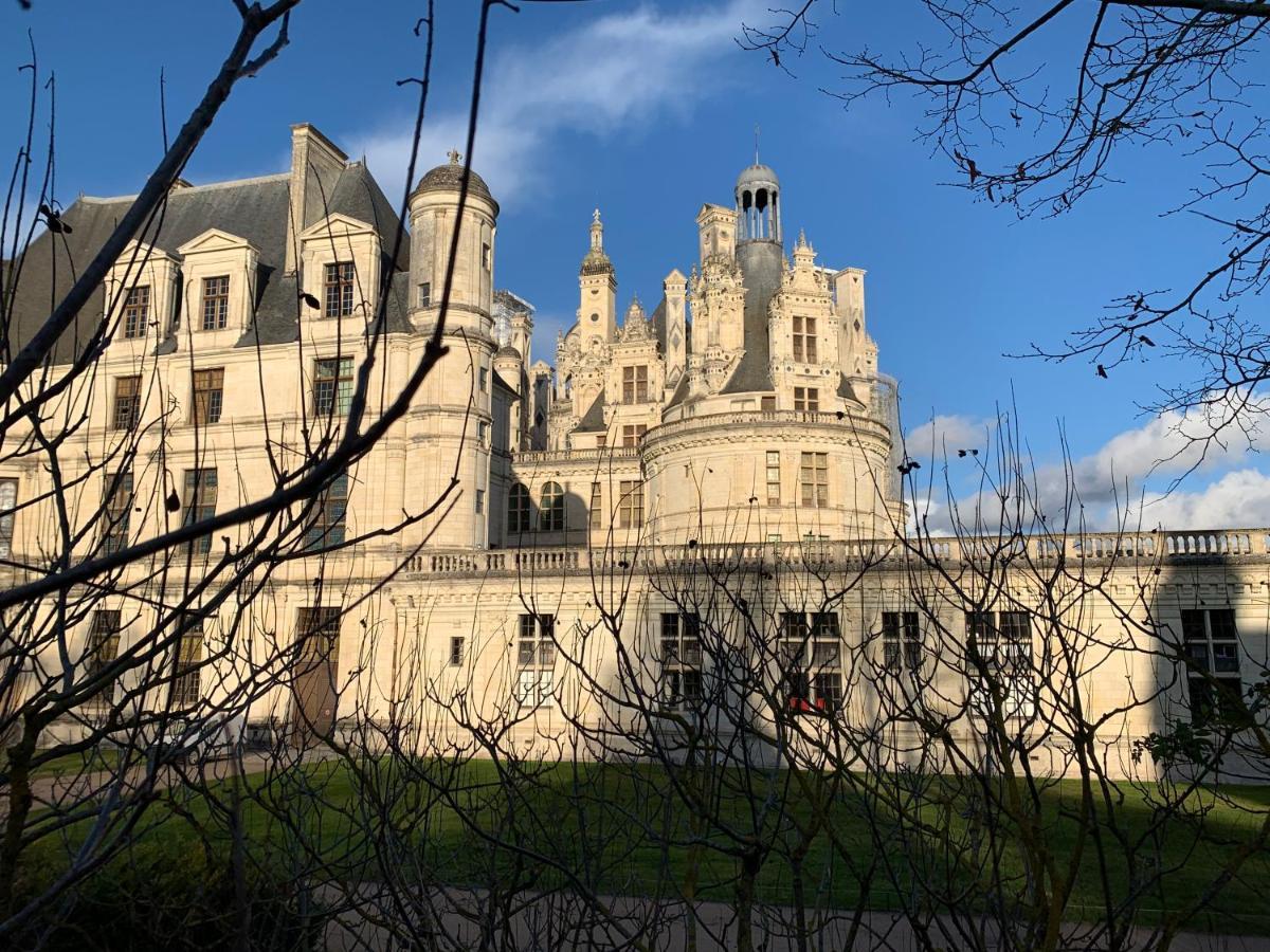 Au Coeur Des Chateaux Chambon-sur-Cisse 외부 사진