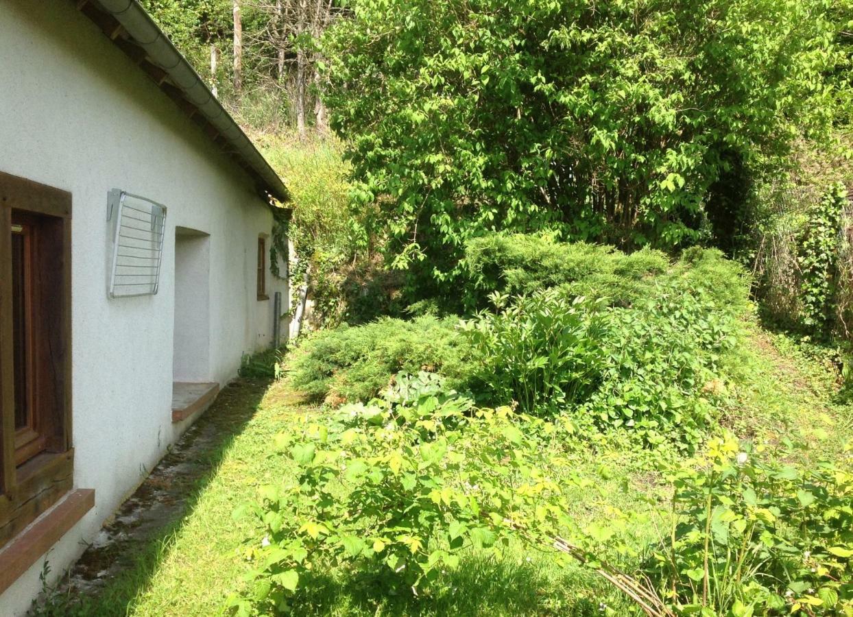 Au Coeur Des Chateaux Chambon-sur-Cisse 외부 사진